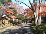 特別史跡と特別名勝の小石川後楽園の庭園１