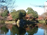 特別史跡と特別名勝の小石川後楽園の庭園５