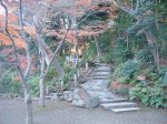 特別史跡と特別名勝の小石川後楽園の庭園６