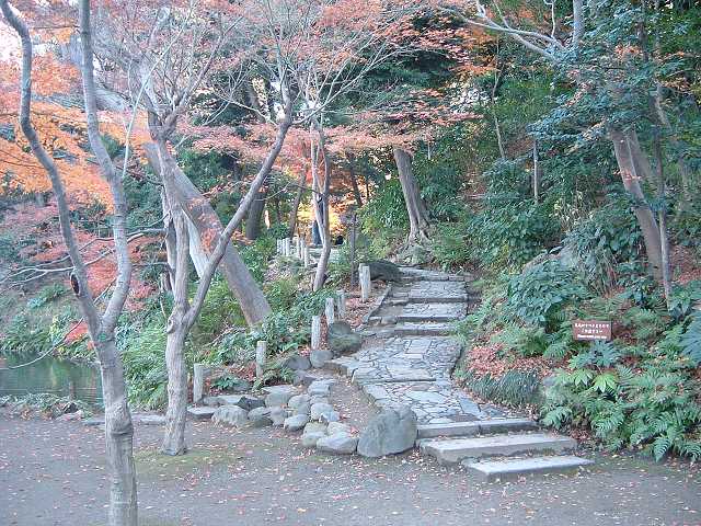特別史跡と特別名勝の小石川後楽園の庭園６の写真の写真