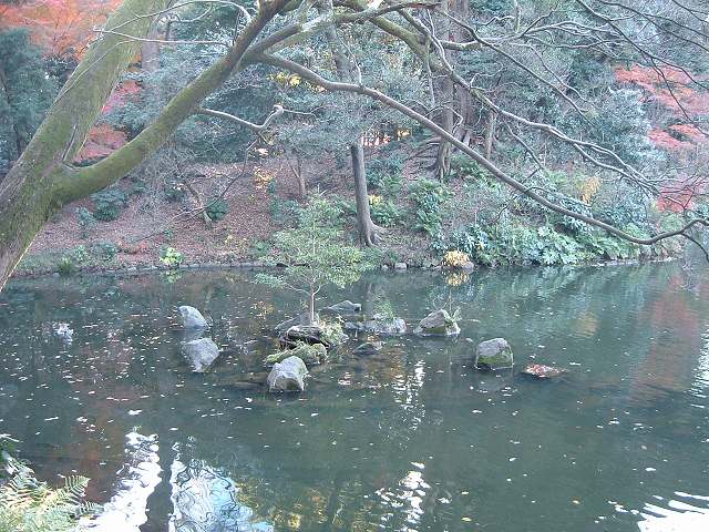 特別史跡と特別名勝の小石川後楽園の庭園１４の写真の写真