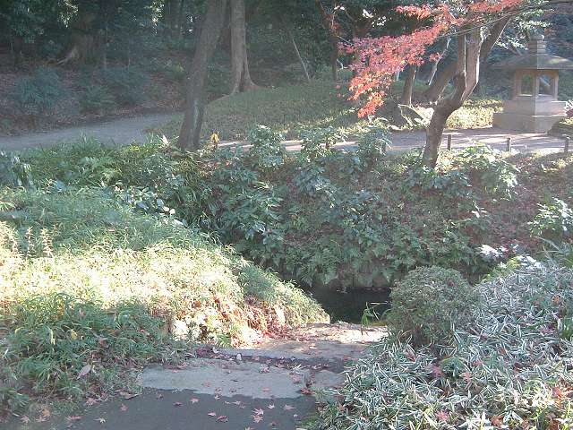 特別史跡と特別名勝の小石川後楽園の庭園１７の写真の写真