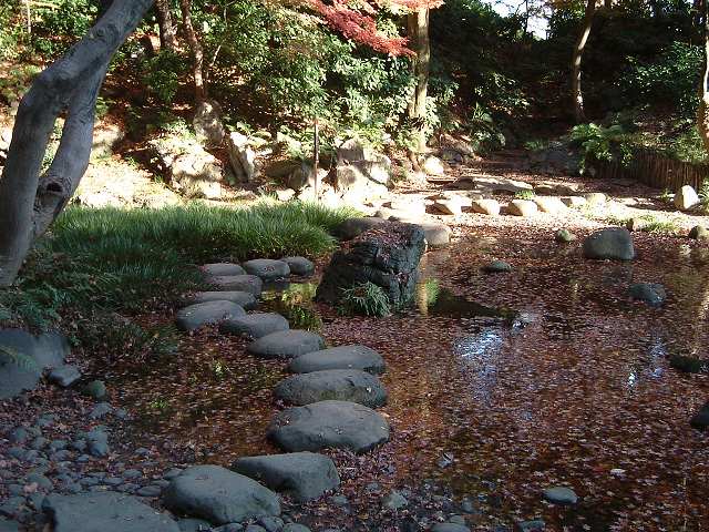 特別史跡と特別名勝の小石川後楽園の庭園３３の写真の写真