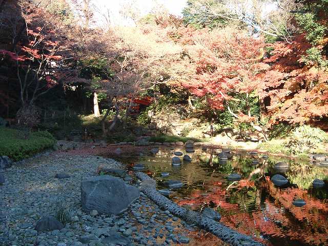 特別史跡と特別名勝の小石川後楽園の庭園３５の写真の写真