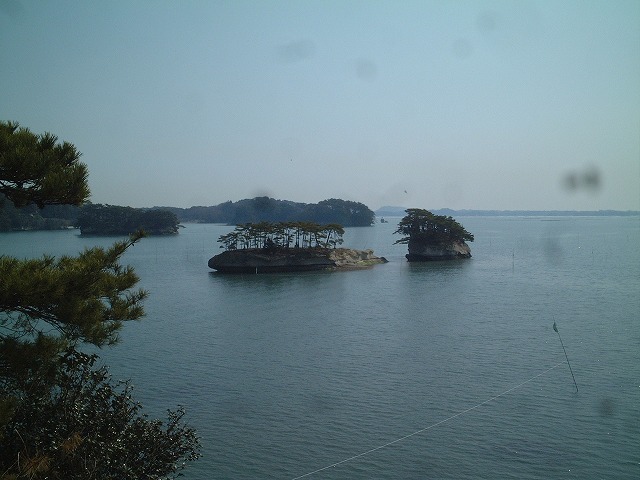 日本三景と特別名勝の陸奥松島の松島湾５の写真の写真