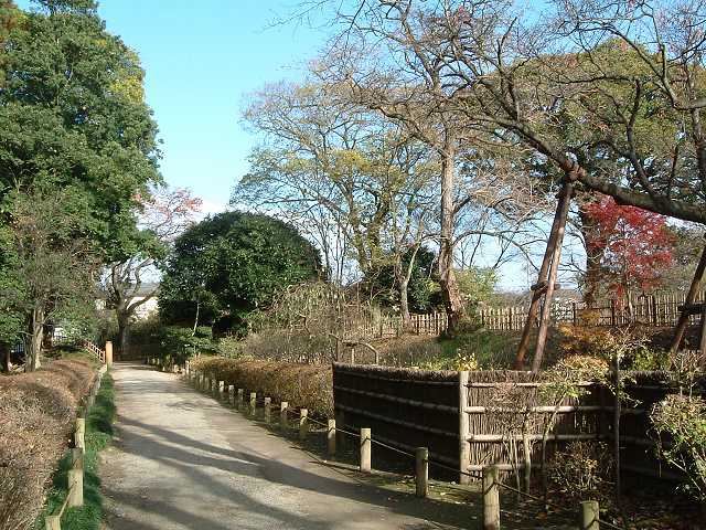 特別名勝の水戸偕楽園の庭園１１の写真の写真