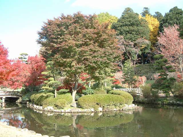 特別名勝の水戸偕楽園の庭園１７の写真の写真
