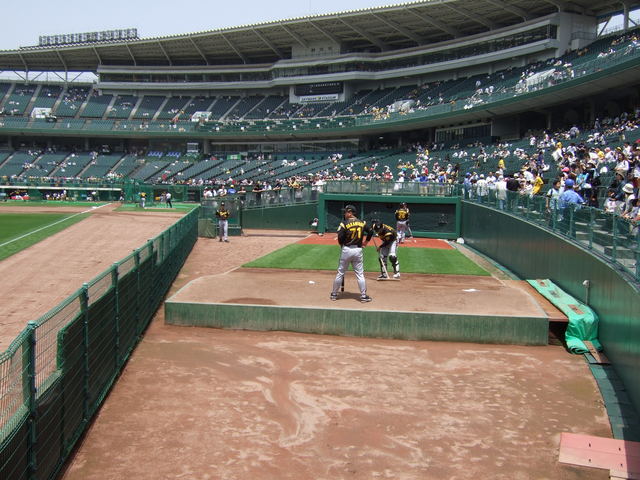 野球場・グリーンスタジアム・ピッチャーの投球練習場所の写真の写真
