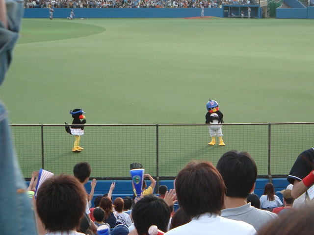 野球場・神宮球場ヤクルトのマスコット人形のつば九郎とつばみの写真の写真