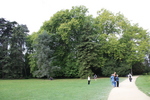 アゼー・ル・リドー城・英国式庭園