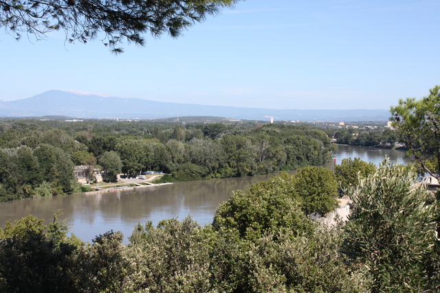 アヴィニョン・ロシェ・デ・ドン公園から見るローヌ川の写真の写真
