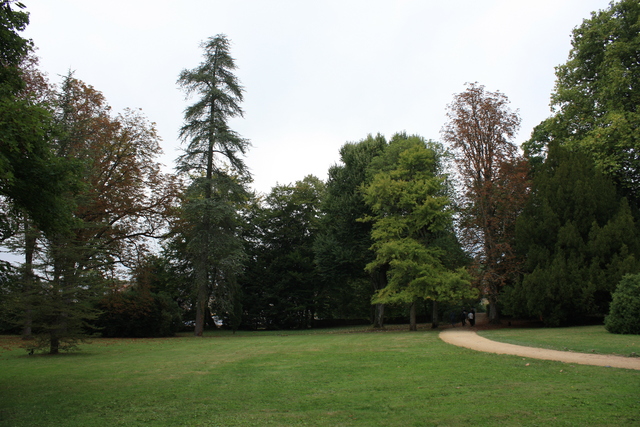 アゼー・ル・リドー城・庭園１３の写真の写真