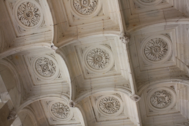 アゼー・ル・リドー城・天井の装飾の写真の写真