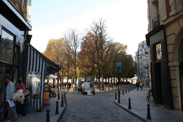 パリ・ドフィーヌ広場の写真の写真