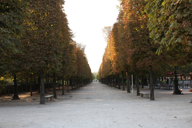 パリ・チュイルリー公園の写真の写真
