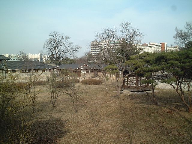 韓国・ソウル・宗廟から5分くらい歩くと昌慶宮に到着の写真の写真