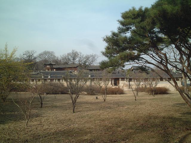 韓国・ソウル・昌慶宮１の写真の写真