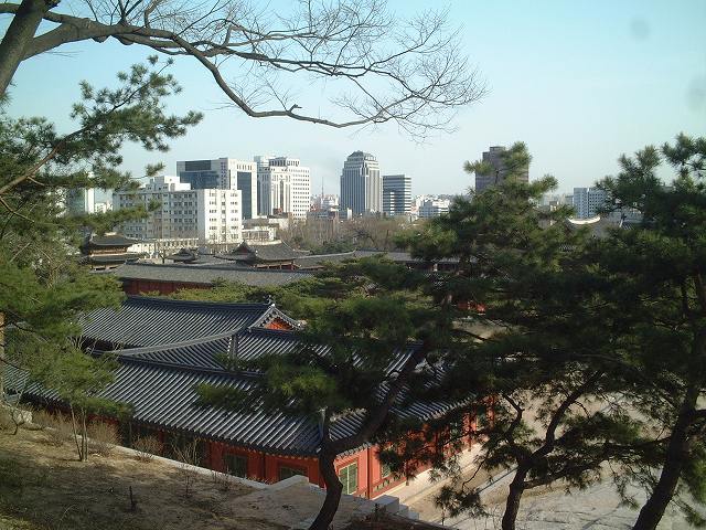韓国・ソウル・昌慶宮５の写真の写真