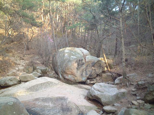 韓国・慶州・岩のような仏像がごろごろの写真の写真
