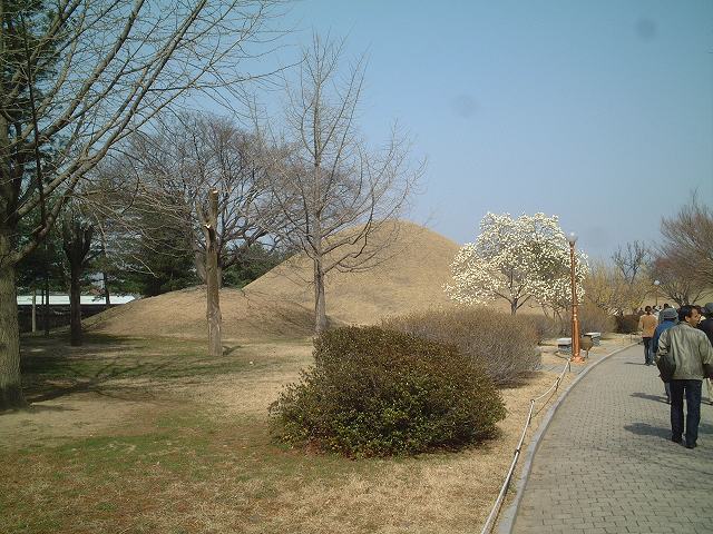 韓国・慶州・大陵苑１の写真の写真