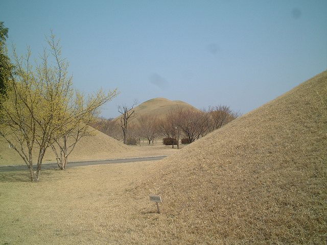 韓国・世界遺産・慶州歴史地域の写真の写真