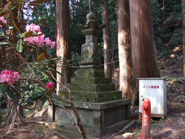 室生寺の写真の写真