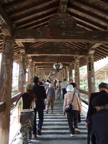 長谷寺の写真の写真