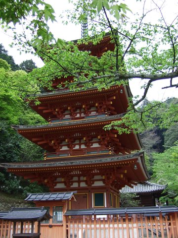 長谷寺・五重塔の写真の写真
