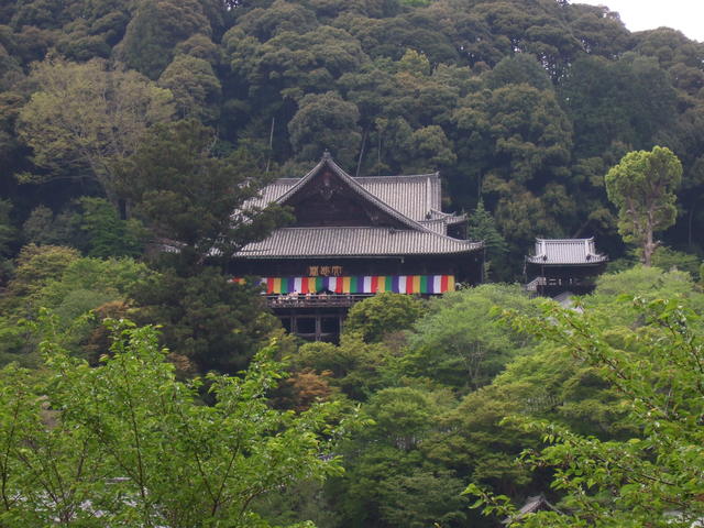 国宝・長谷寺本堂の写真の写真
