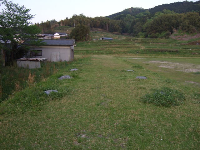 特別史跡・山田寺跡・北面回廊の礎石の写真の写真
