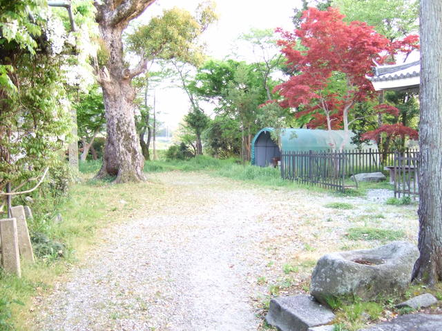 特別史跡・山田寺跡・観音堂付近にある講堂跡の写真の写真