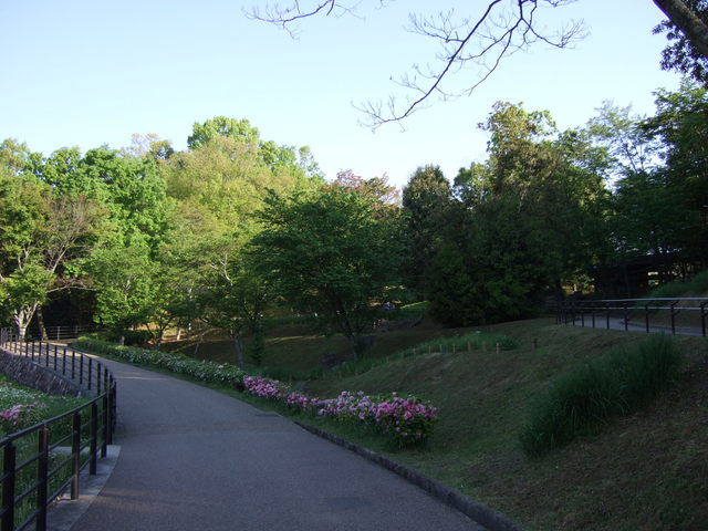 高松塚古墳・公園の遊歩道の写真の写真