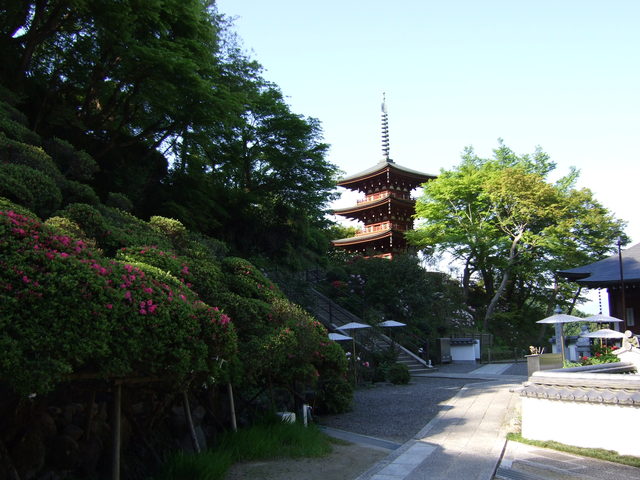岡寺・三重塔の写真の写真