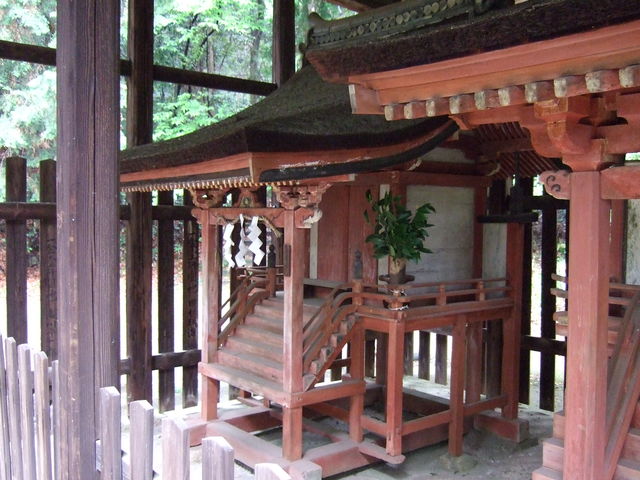 重要文化財・十六所神社本殿の写真の写真
