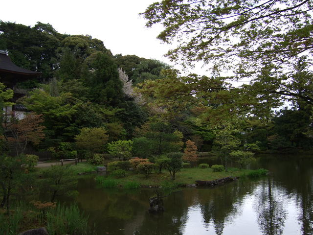 圓成寺・庭園の写真の写真