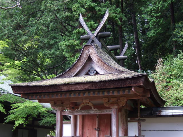 圓成寺・春日造りの屋根の写真の写真