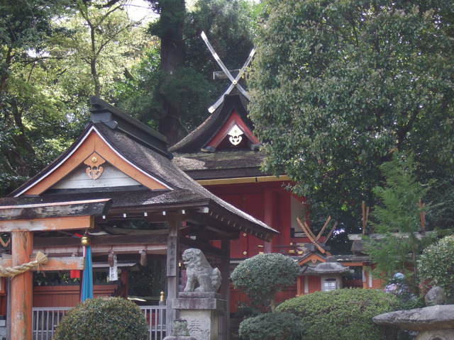 重要文化財・長尾神社本殿の写真の写真