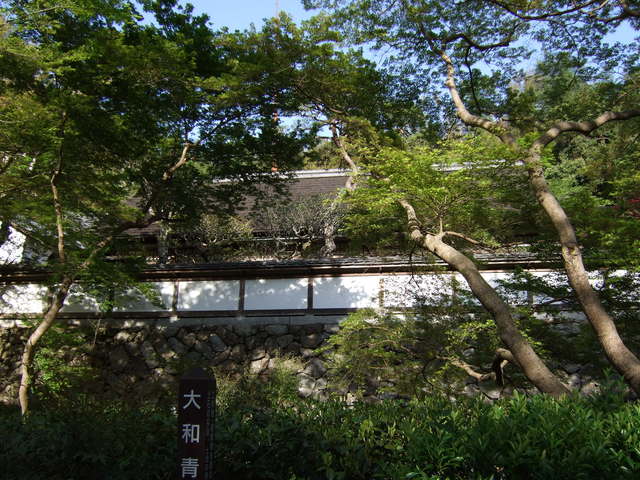 重要文化財・正暦寺福寿院の写真の写真