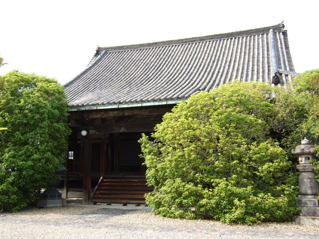 重要文化財・蓮長寺本堂の写真の写真