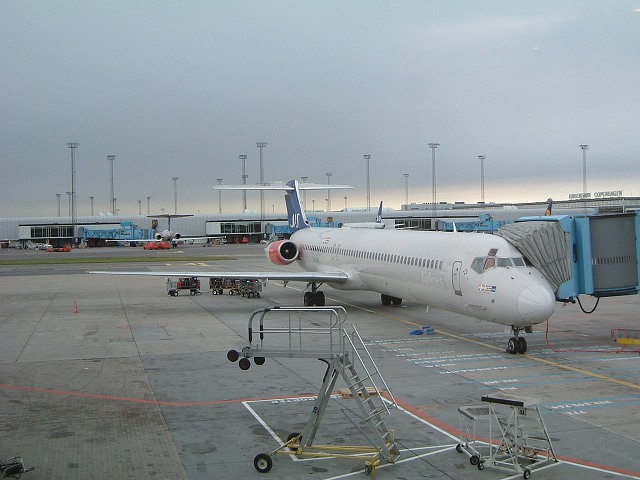 SASスカンジナビア航空の写真の写真