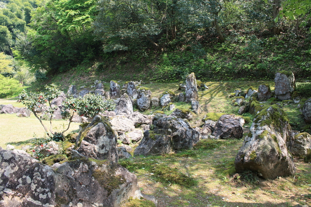 特別名勝・一乗谷朝倉氏庭園・湯殿跡庭園１３の写真の写真