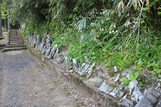 一乗谷・盛源寺の参道脇に安置される石仏の写真の写真