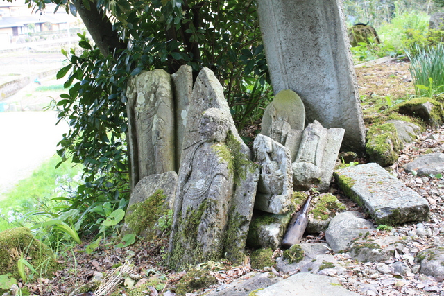 一乗谷・盛源寺の石仏１０の写真の写真
