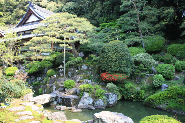 瀧谷寺・庭園の写真の写真