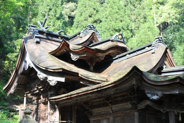 大滝神社本殿及び拝殿の屋根の写真の写真