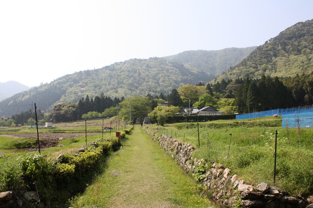 神宮寺付近の田園風景の写真の写真