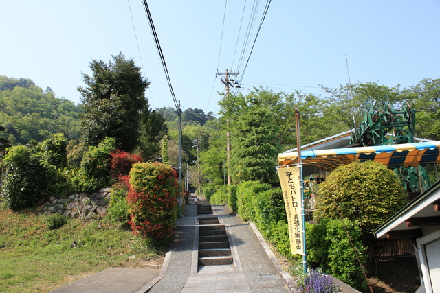 特別名勝・天橋立・登山道の写真の写真