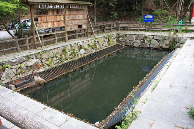 樗谿神社・池の写真の写真
