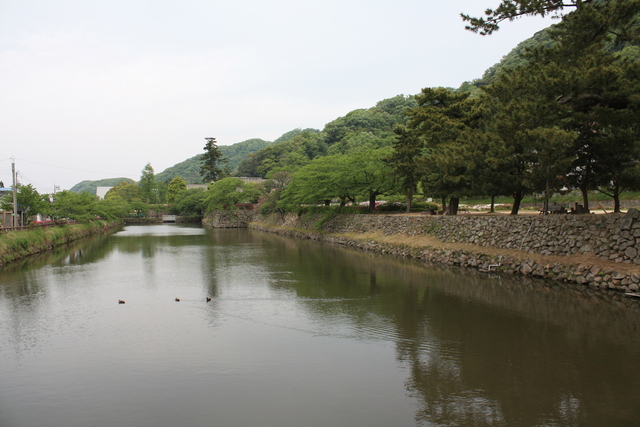鳥取城跡・堀２の写真の写真