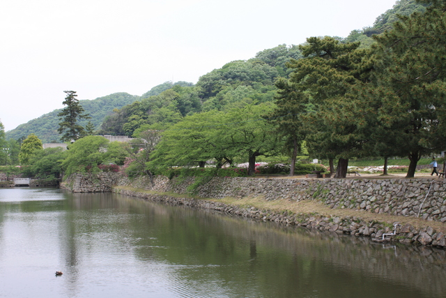 鳥取城跡・堀３の写真の写真